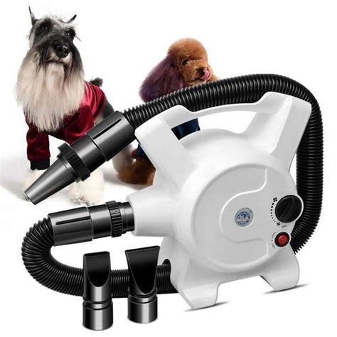 The Ultimate Guide to Dog Dryer Blowers: A Comprehensive Review