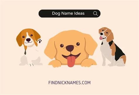 The Ultimate Guide to Dog Nicknames: Find the Perfect Name for Your Furry Friend