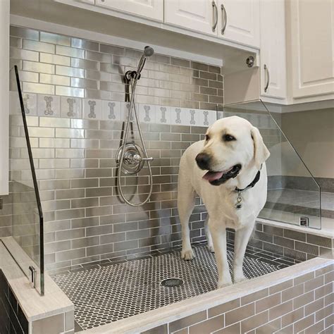 The Ultimate Guide to Dog Showers: A Comprehensive Guide for Pet Owners