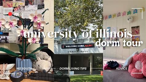 The Ultimate Guide to Dorm Living for Students