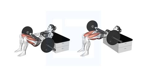 The Ultimate Guide to Dumbbell Glute Bridges: Unlock Stronger, Rounder Glutes