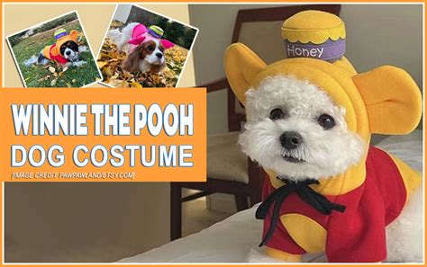 The Ultimate Guide to Embracing Your Inner Winnie the Pooh with a Dog Costume