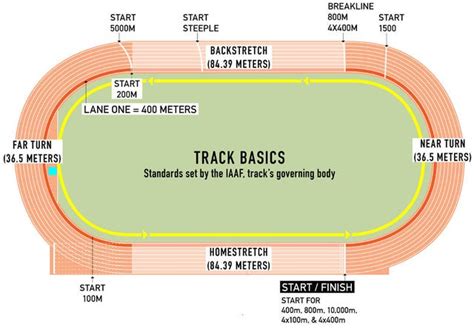 The Ultimate Guide to Everything Track and Field: From the Basics to Advanced Techniques