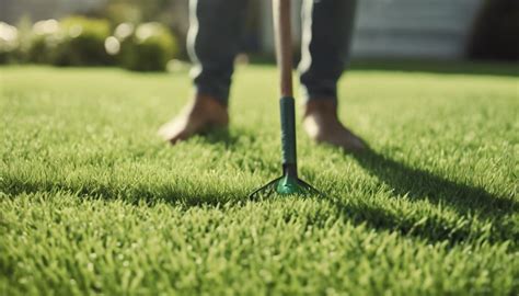 The Ultimate Guide to Fertilizing Bermuda Grass: 9 Essential Steps for a Lush Lawn