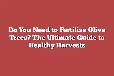 The Ultimate Guide to Fertilizing Your Olive Trees: A Comprehensive Handbook for Bountiful Harvests