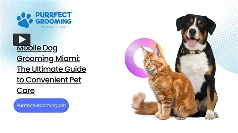 The Ultimate Guide to Finding Trusted and Convenient Pet Care Services