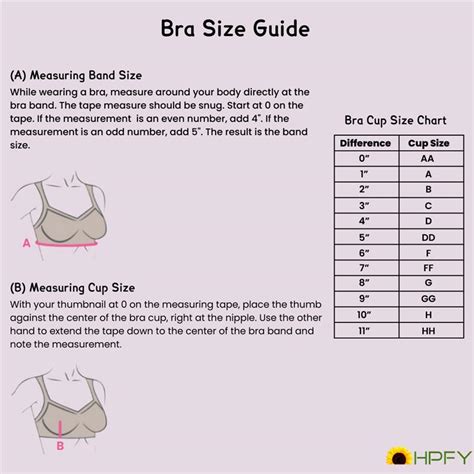 The Ultimate Guide to Finding Your Bra Size: From Band to Cup