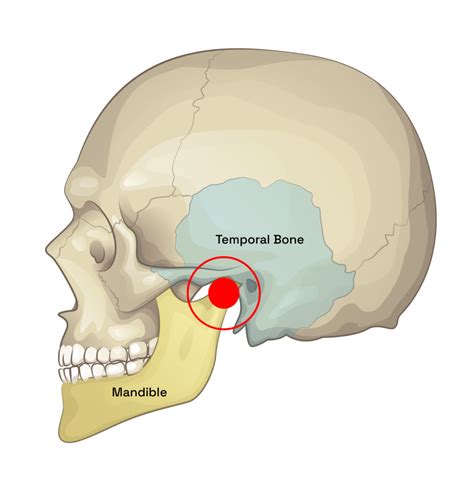 The Ultimate Guide to Finding a Dentist TMJ Specialist Near Me