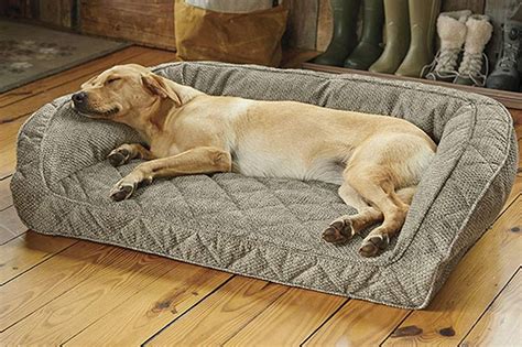 The Ultimate Guide to Finding the Best Dog Beds at Sam's Club