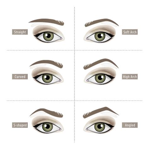 The Ultimate Guide to Finding the Best Eyebrow Shape for You