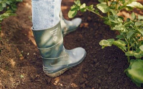 The Ultimate Guide to Finding the Perfect Garden Shoes: A Comprehensive Exploration for Every Gardener