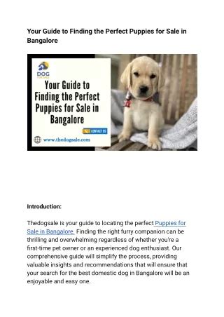 The Ultimate Guide to Finding the Perfect Lab for Sale