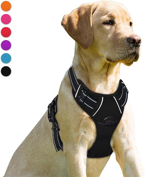 The Ultimate Guide to Front-Clip Dog Harnesses for Enhanced Control and Safety
