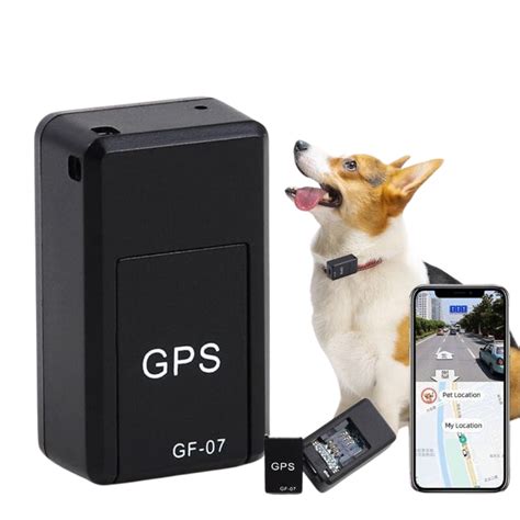 The Ultimate Guide to GPS Cat Trackers: Empowering Pet Owners with Peace of Mind