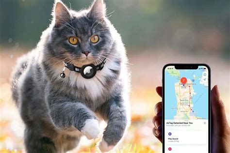 The Ultimate Guide to GPS Trackers for Cats: Ensuring Safety and Peace of Mind