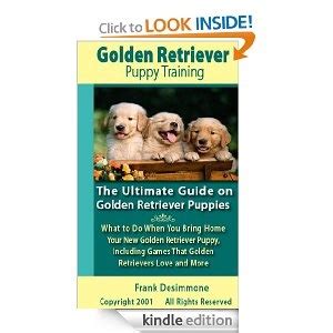 The Ultimate Guide to Golden Retriever Puppies: From Preparation to Training