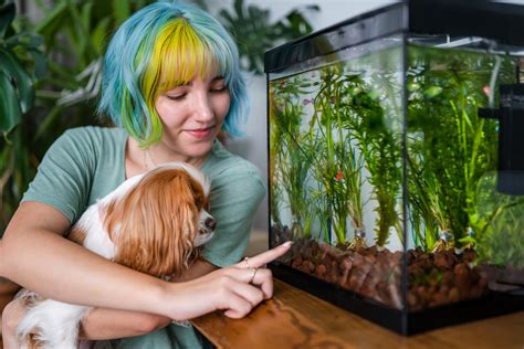 The Ultimate Guide to Good Aquarium Fish: Your Fin-tastic Companion