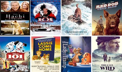 The Ultimate Guide to Good Dog Movies: A Comprehensive Exploration