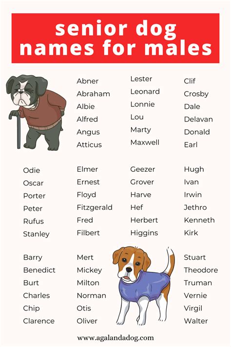 The Ultimate Guide to Grumpy Old Man Names: A Comprehensive Encyclopedia of Unpleasantness