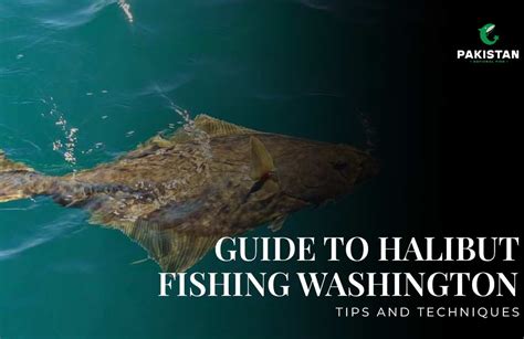 The Ultimate Guide to Halibut Fishing: Techniques, Tips, and Everything You Need to Know