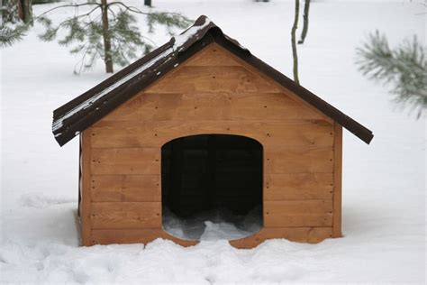 The Ultimate Guide to Heated Dog Houses: Ensuring a Comfortable and Warm Retreat for Your Canine Companions