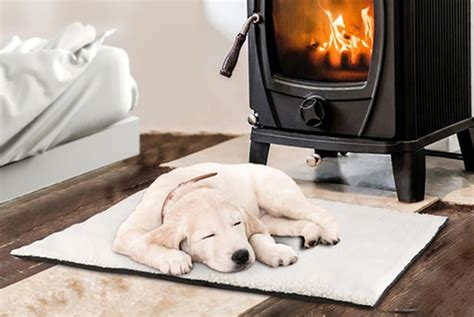 The Ultimate Guide to Heating Pet Beds: Comfort and Warmth for Your Beloved Companion