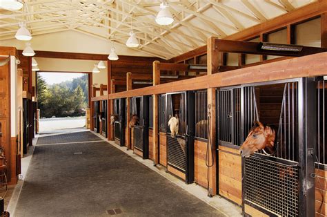 The Ultimate Guide to Horse Housing: Exploring Different Types of Stables