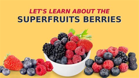 The Ultimate Guide to Jazzzberry: A Berry-licious Adventure