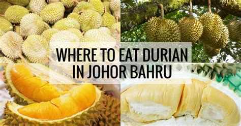 The Ultimate Guide to Johor Bahru Durian: A Taste of Heaven in Malaysia