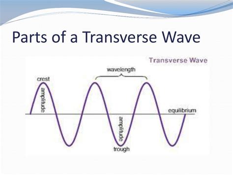 The Ultimate Guide to Label a Transverse Wave: Leverage Advanced Techniques for Enhanced Understanding