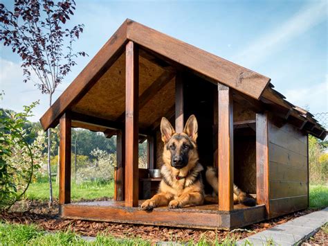 The Ultimate Guide to Large Wooden Dog Houses: Providing Your Canine Companion with Comfort and Protection