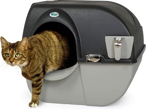 The Ultimate Guide to Litter Boxes for Large Cats: