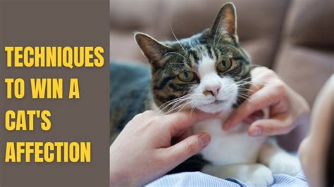 The Ultimate Guide to Lovecatsmew: Unlocking Feline Affection