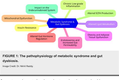 The Ultimate Guide to MXEs: Harnessing the Power of Metabolic Exchange Therapies