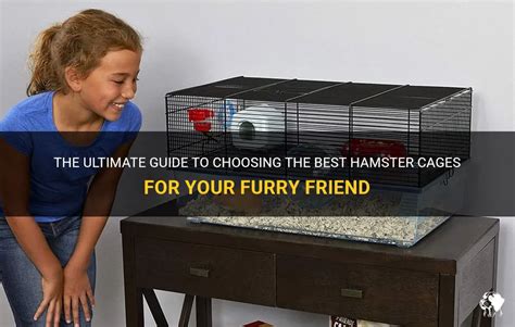 The Ultimate Guide to Massive Hamster Cages: Providing Your Furry Friend with Ample Space and Enrichmen