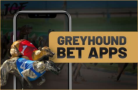 The Ultimate Guide to Mastering the Greyhound Bet App