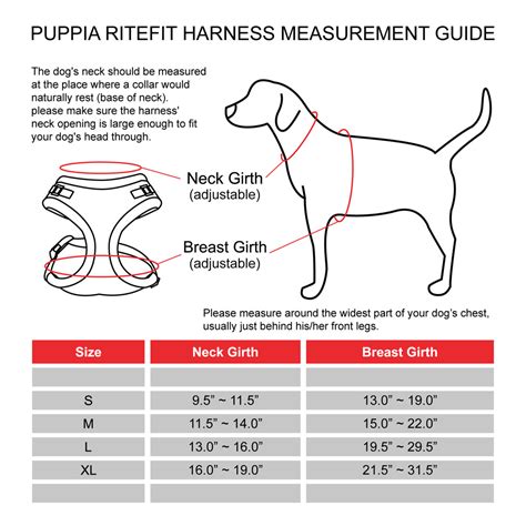 The Ultimate Guide to Measuring Your Dog for a Perfect Harness Fit