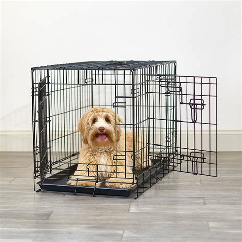 The Ultimate Guide to Medium Dog Crates: A Sanctuary for Your Canine Companion