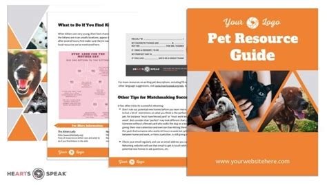 The Ultimate Guide to Mega Coneys: A Comprehensive Resource for Pet Owners