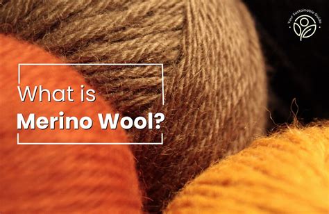 The Ultimate Guide to Merino Wool: Exceptional Comfort and Performance