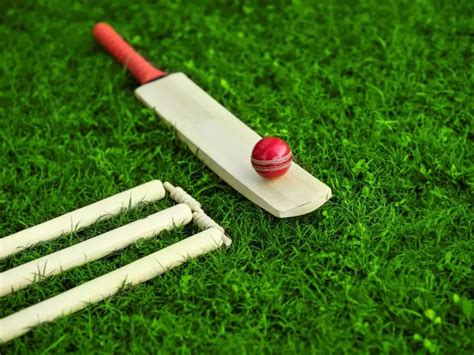 The Ultimate Guide to Online Cricket Betting: Tips, Strategies, and Expert Insights