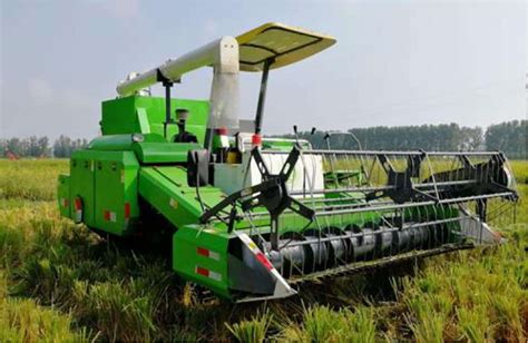 The Ultimate Guide to Paddy Threshers: Revolutionizing Rice Harvesting and Processing