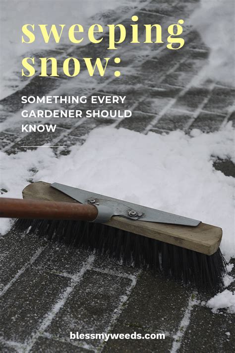 The Ultimate Guide to Pear Garden Snow Sweeping
