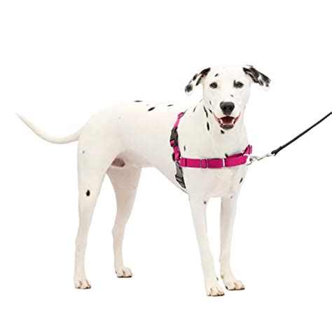 The Ultimate Guide to Petsafe Dog Harnesses: Keeping Your Furry Friend Safe and Comfortable