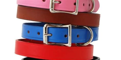 The Ultimate Guide to Pitbull Dog Collars: Safety, Comfort, and Style