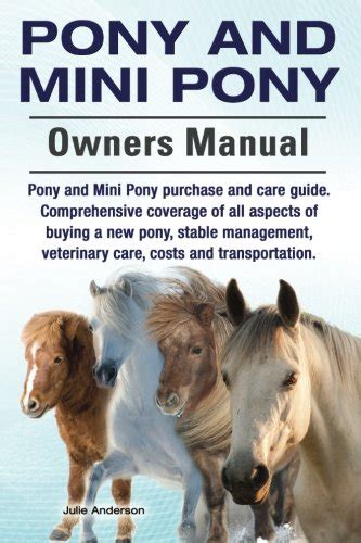 The Ultimate Guide to Ponybuny: A Comprehensive Resource for Pony Owners and Equestrians