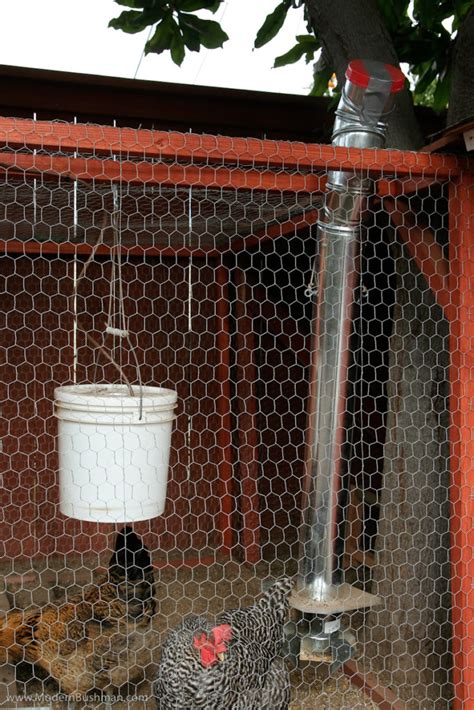 The Ultimate Guide to Poultry Feeders and Waterers for Optimal Chicken Health and Productivity