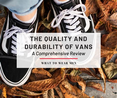 The Ultimate Guide to Pro Vans: Performance, Style, and Durability