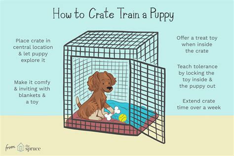 The Ultimate Guide to Puppy Crates: Everything You Need to Know