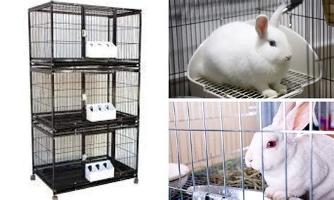 The Ultimate Guide to Rabbit Cages: Ensuring the Well-being of Your Hoppy Companion